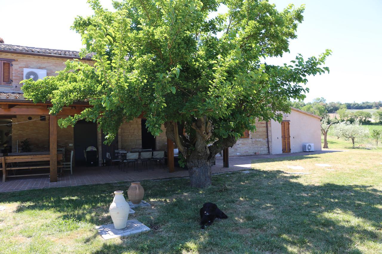 Villa Casale Talevi Cartoceto Esterno foto
